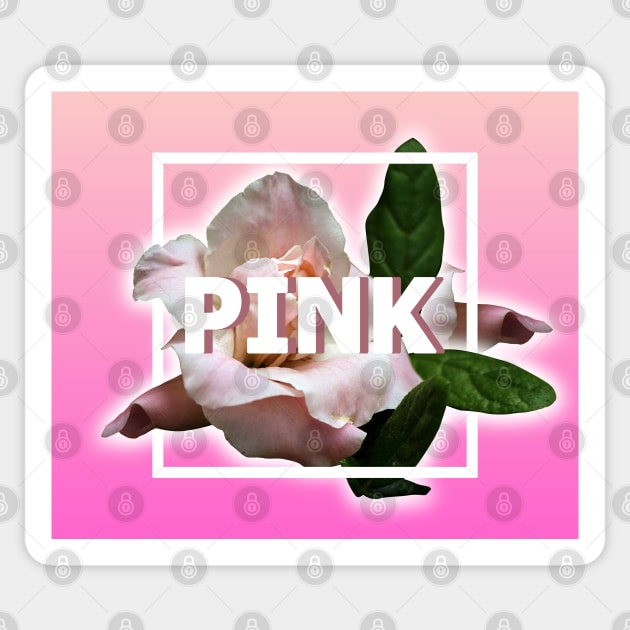 50 Shades of Pink Sticker by DigitalCleo